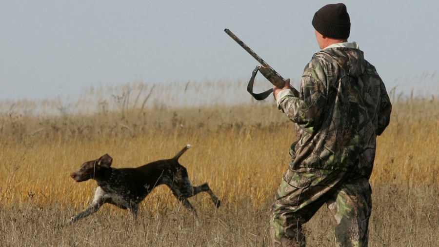 Ліміти на відстріл не отримали. На Кіровоградщині полювати не можна