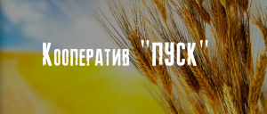 В Україні створили ПУСК