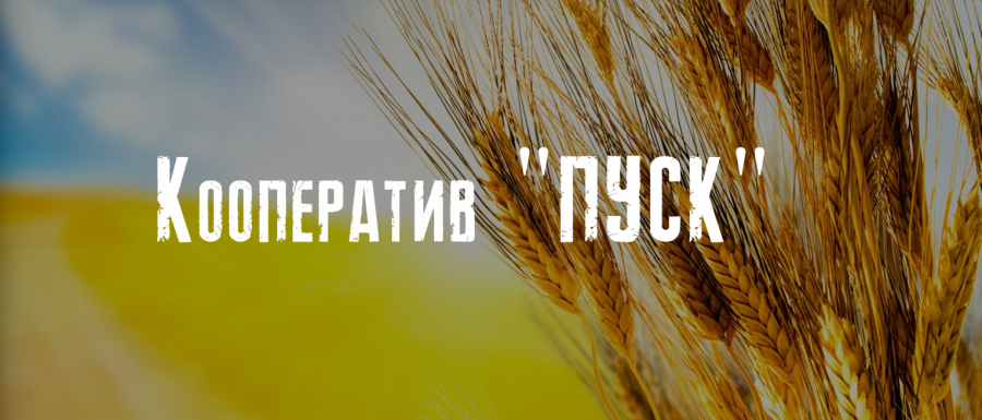 В Україні створили ПУСК
