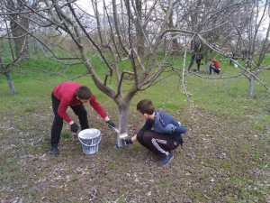 У Тишківському ліцеї пройшли челенджі до Дня Землі
