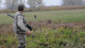 На Кіровоградщині дозволили відстрілювати хижаків попри заборону під час воєнного стану