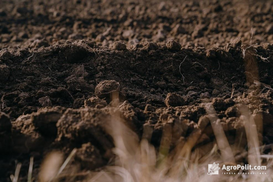 Верховна Рада спростила процедуру оформлення земельних ділянок