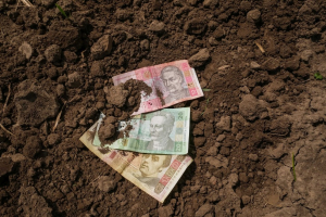 Аграрії Кіровоградщини отримають розширені можливості кредитування