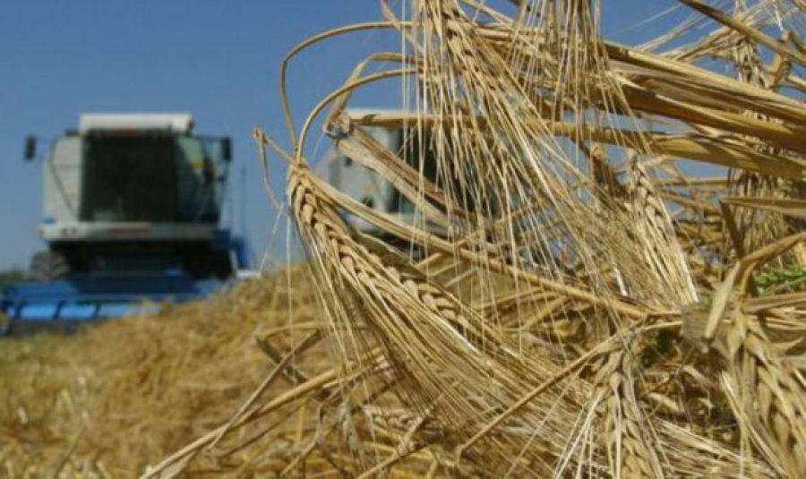 Озвучено ключові програми підтримки агросектору у 2023 році