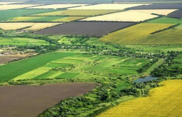 Озвучено порядок проведення процедури викупу земельної ділянки