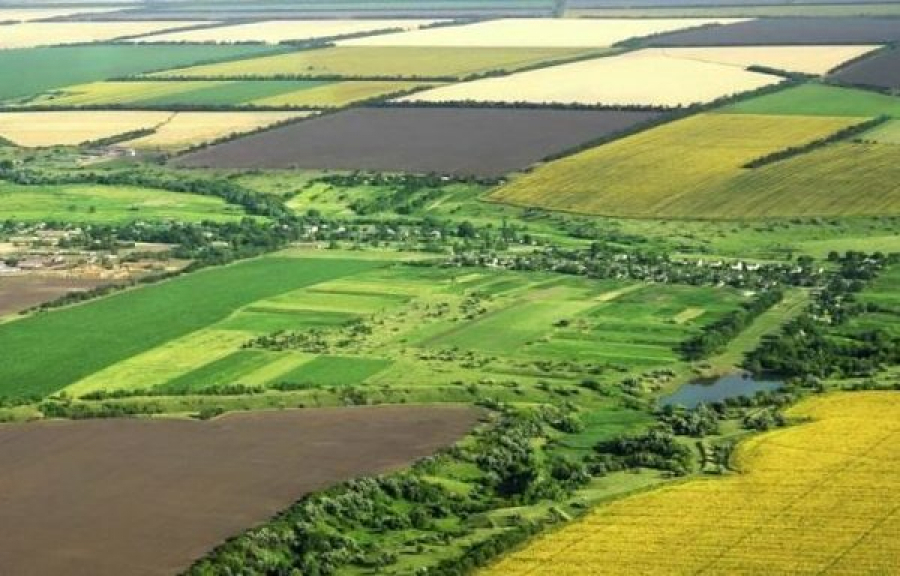 Озвучено порядок проведення процедури викупу земельної ділянки