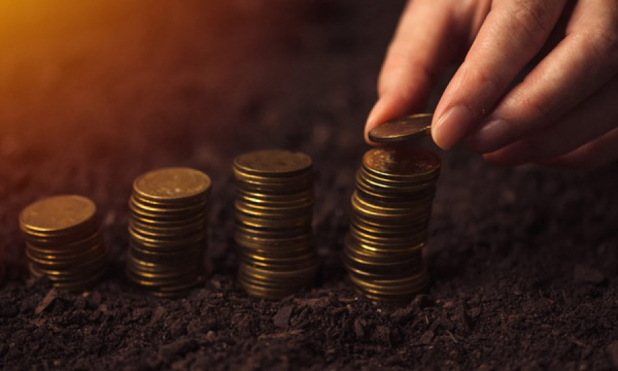 Два види податків відтепер не сплачуються під час продажу землі