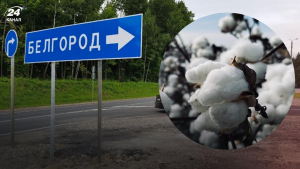 Операція в Бєлгородській області може змусити Кремль відтягнути частину російських військ від лінії фронту — Reuters