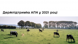 Стало відомо, як отримати держпідтримку для розвитку фермерських господарств