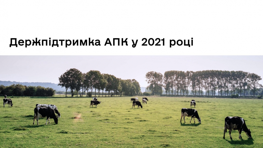 Стало відомо, як отримати держпідтримку для розвитку фермерських господарств