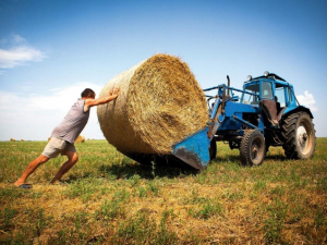 В Україні змінилось цільове призначення землі під ОСГ  —  експерт