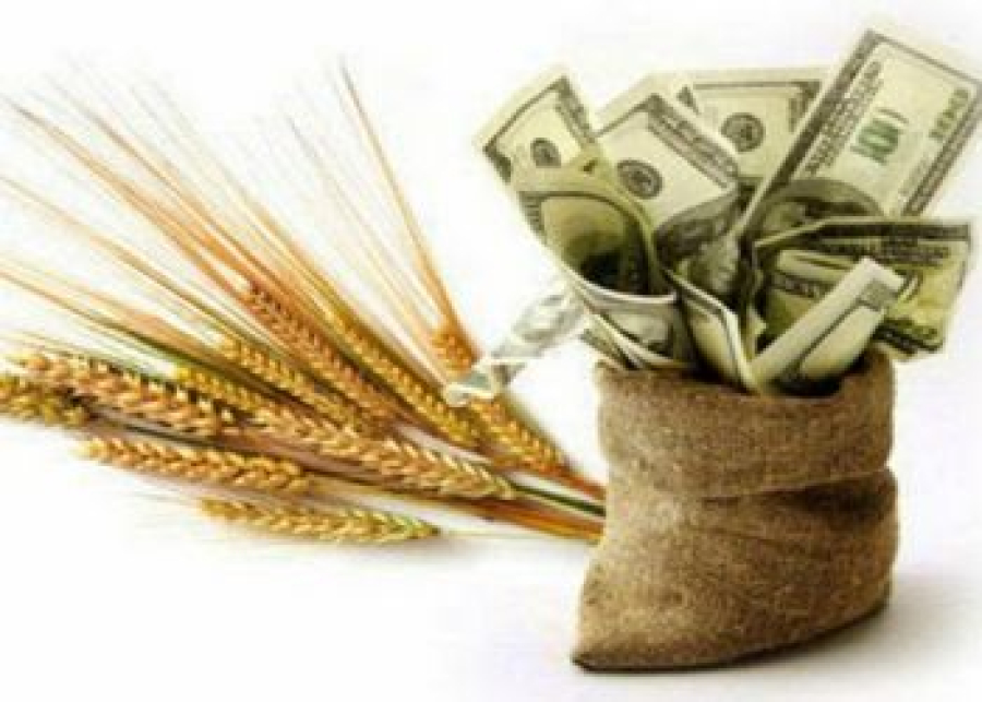 Аграрії під час повномасштабної війни залучили 33,42 млрд грн кредитування