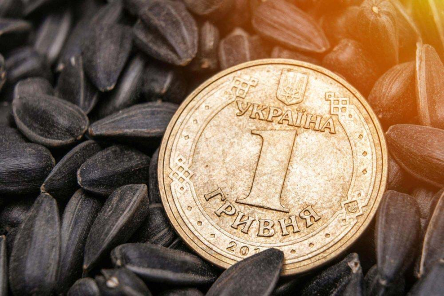 Ринок соняшника пройшов “цінове дно”