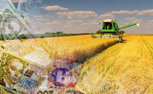 Прямі і непрямі збитки АПК України внаслідок війни з РФ перевищили $40 млрд