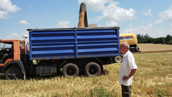 Морські порти в Україні не працюють. Куди дівати врожай, який зібрали на полях Кіровоградщини
