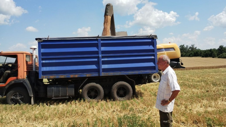 Морські порти в Україні не працюють. Куди дівати врожай, який зібрали на полях Кіровоградщини