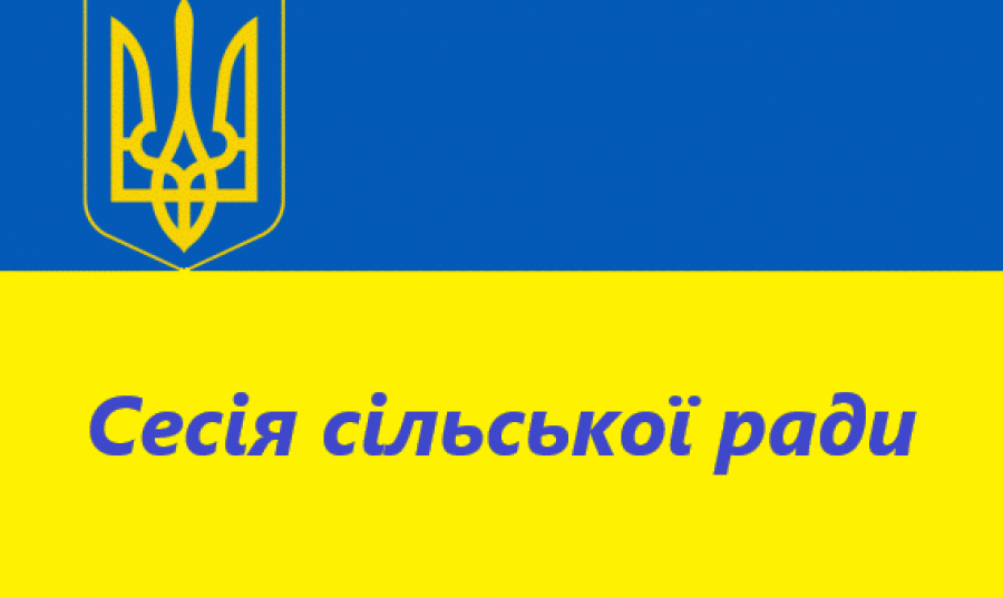 Перейменування вулиць, штат сільради: що розглядатимуть на сесії