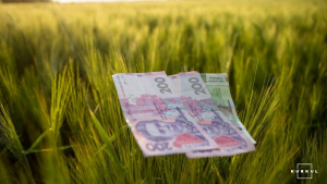 Чи має орендар переважне право на викуп землі: відповідь