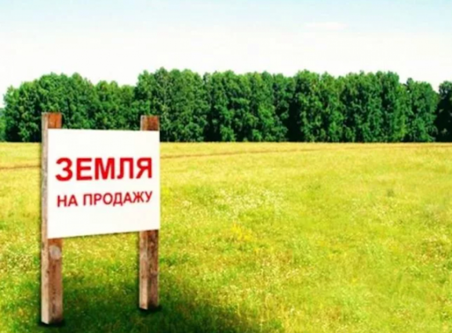 Стало відомо, як буде проводитись викуп земельних ділянок