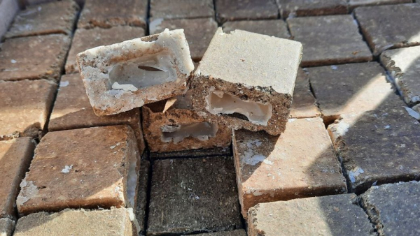 На Кіровоградщині розкладуть приманки для диких тварин з вакциною від сказу