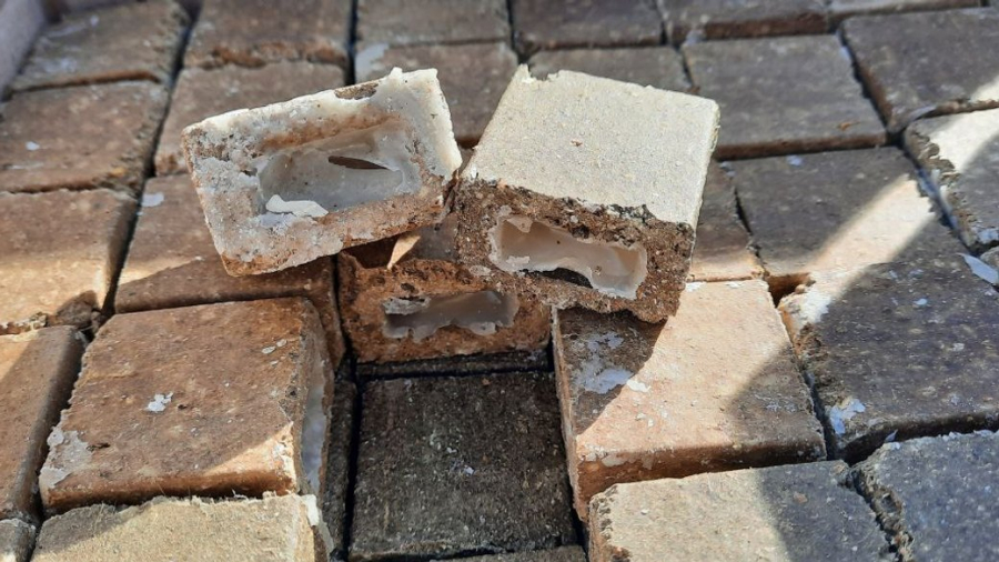 На Кіровоградщині розкладуть приманки для диких тварин з вакциною від сказу